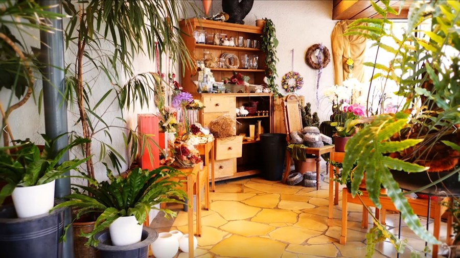 Ladeninneres mit Zimmerpflanzen, Orchideen und antikem Schrank